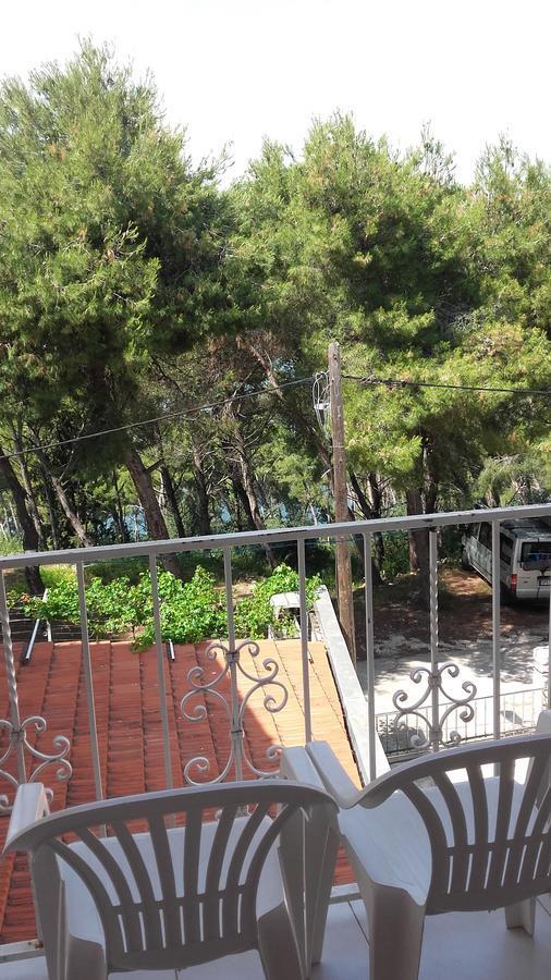 Villa Mateja Donji Okrug  ภายนอก รูปภาพ