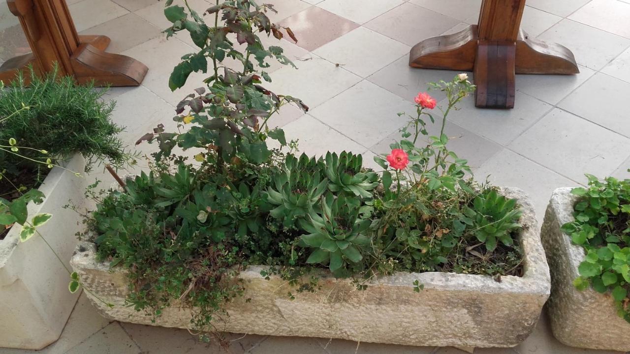Villa Mateja Donji Okrug  ภายนอก รูปภาพ
